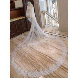 Ivory 2 Tier Long Cathedral Waterfall Lace Applique Wedding Veils
