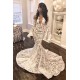 Elegant Fit and Flare Unique Lace Appliques Prom Dresses Long Sleeves Sheer Tulle Evening Gowns