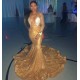 Sparkling Appliques Fit and Flare Prom Dresses Alluring Chic V-neck Gold Long Sleeves Evening Gowns